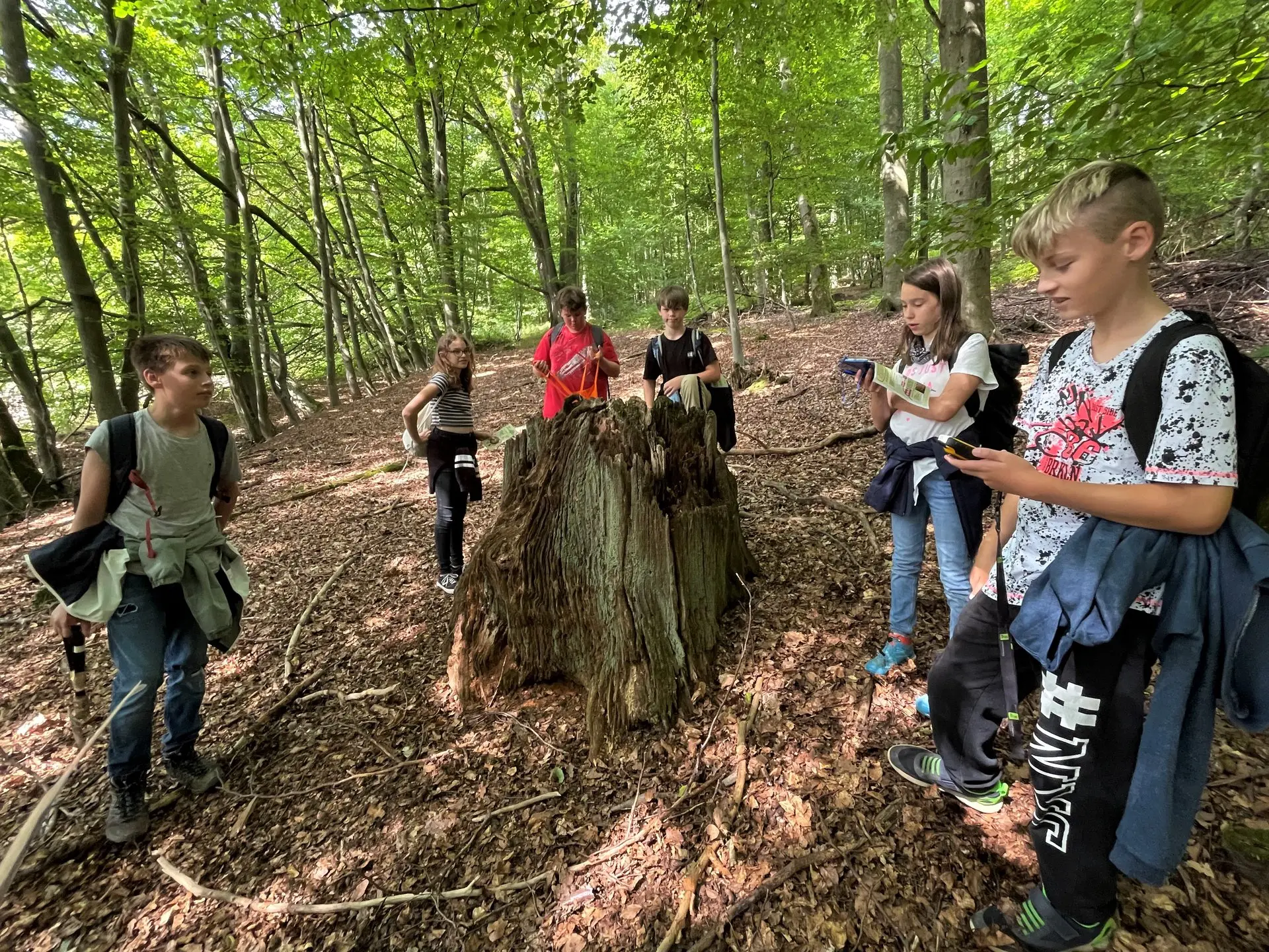 Schülerinnen und Schüler im Wald neben einem aus Ästen gebauten Unterstand