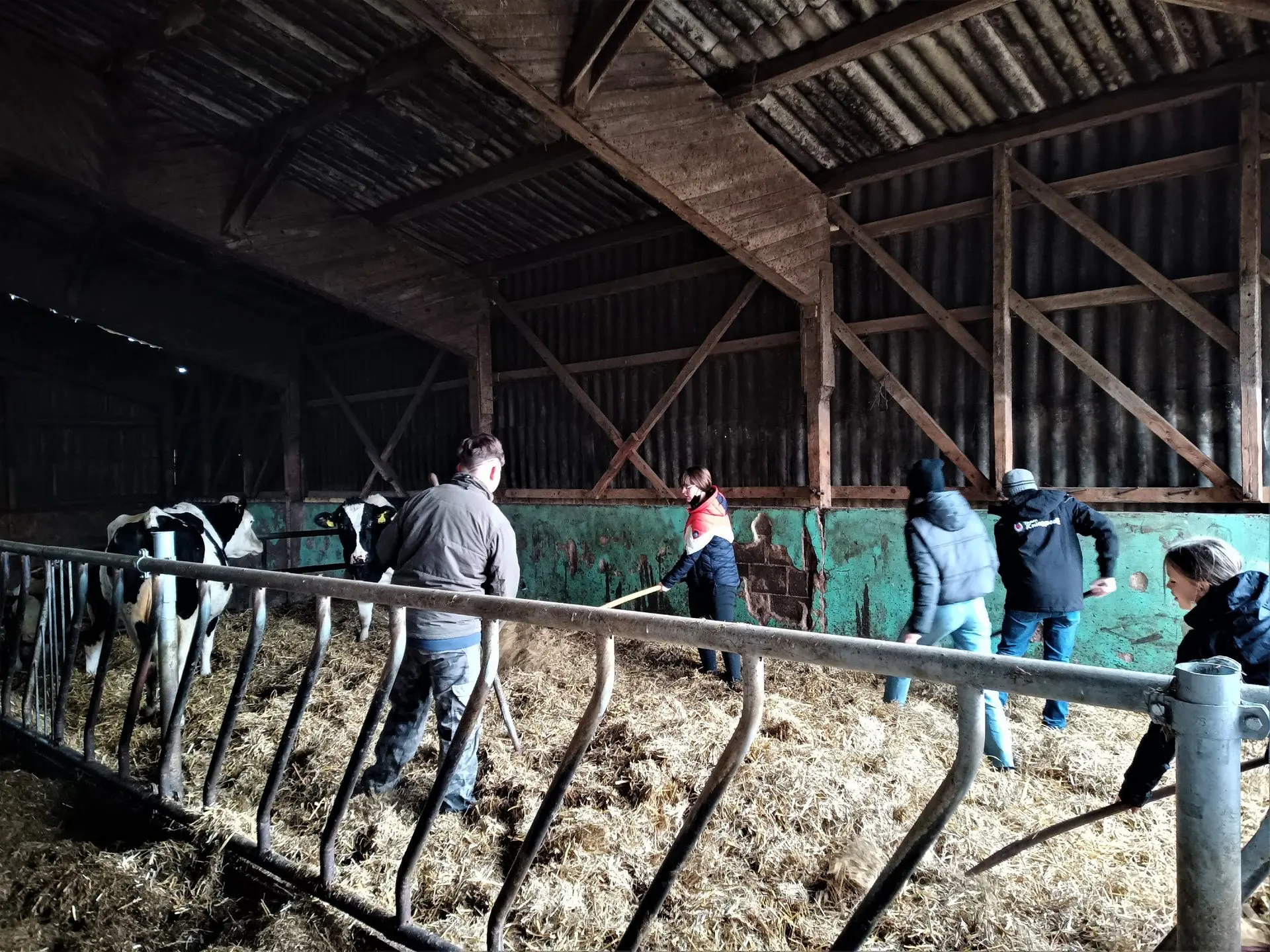 Schülergruppe besichtigt einen großen Kuhstall eines Bauernhofs