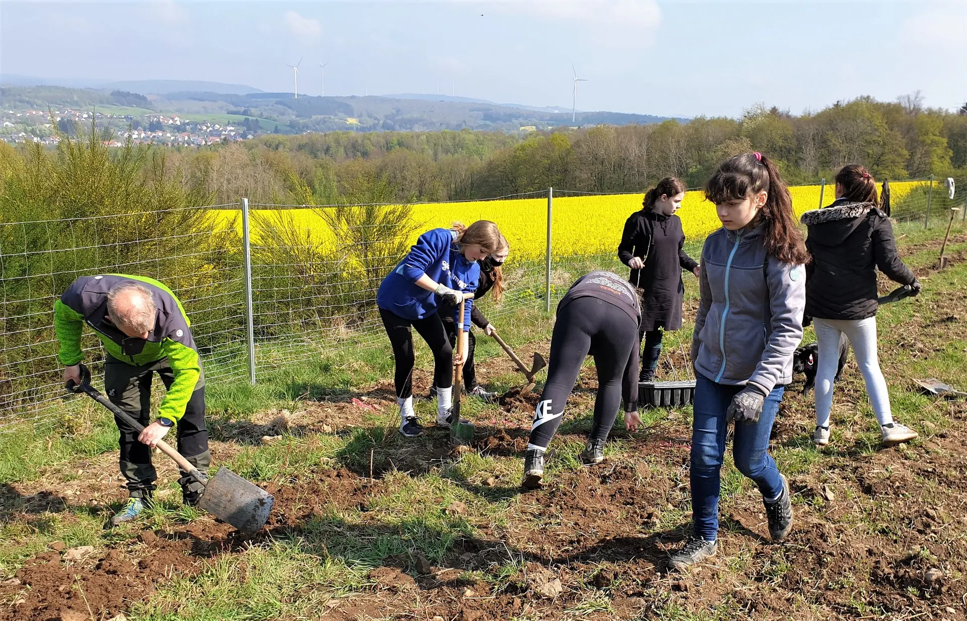 Schülergruppe beim Pflanzen von Bäumen auf einer Wiese mit Rapsfeld im Hintergrund