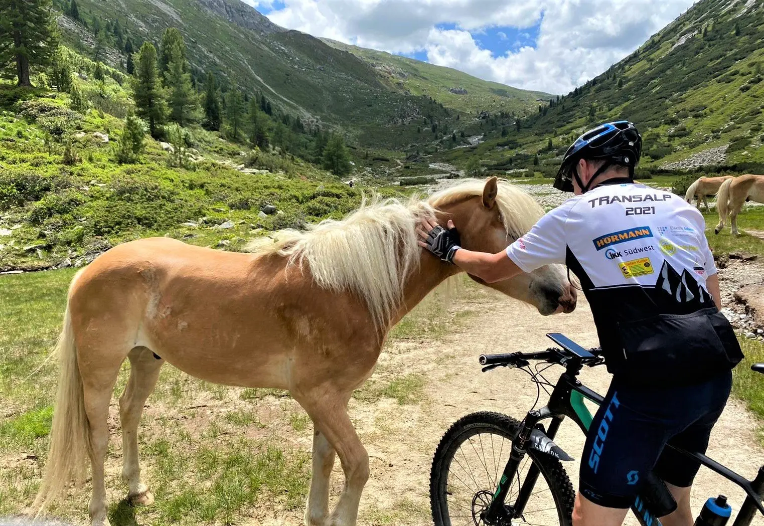Radfahrer mit Helm streichelt ein Haflingerpferd auf einer Bergwiese