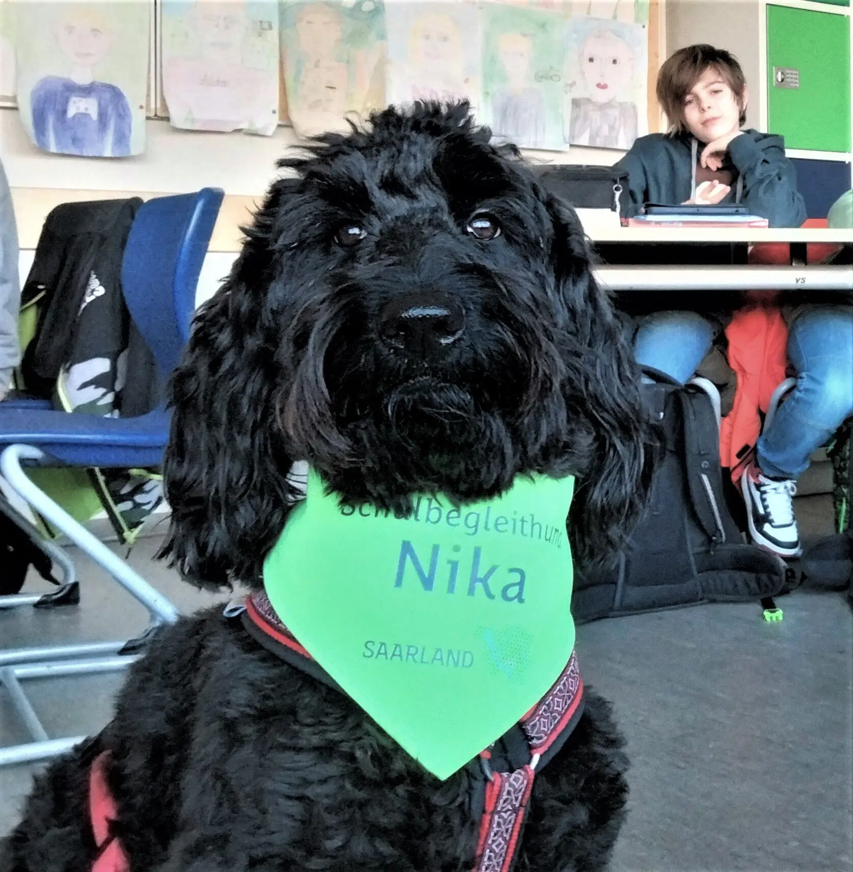 Schwarzer Schulhund mit grünem Halstuch mit Aufschrift „Nika“ im Klassenraum