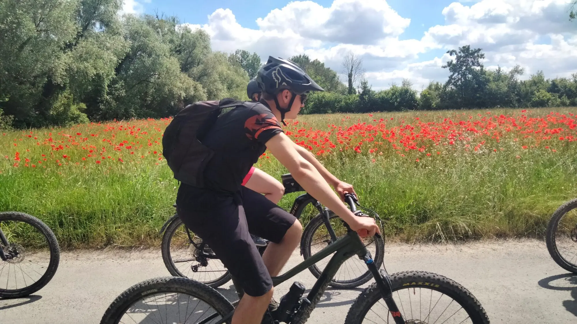Radfahrer mit Helm und Rucksack fährt auf einem Weg an einem roten Mohnfeld vorbei