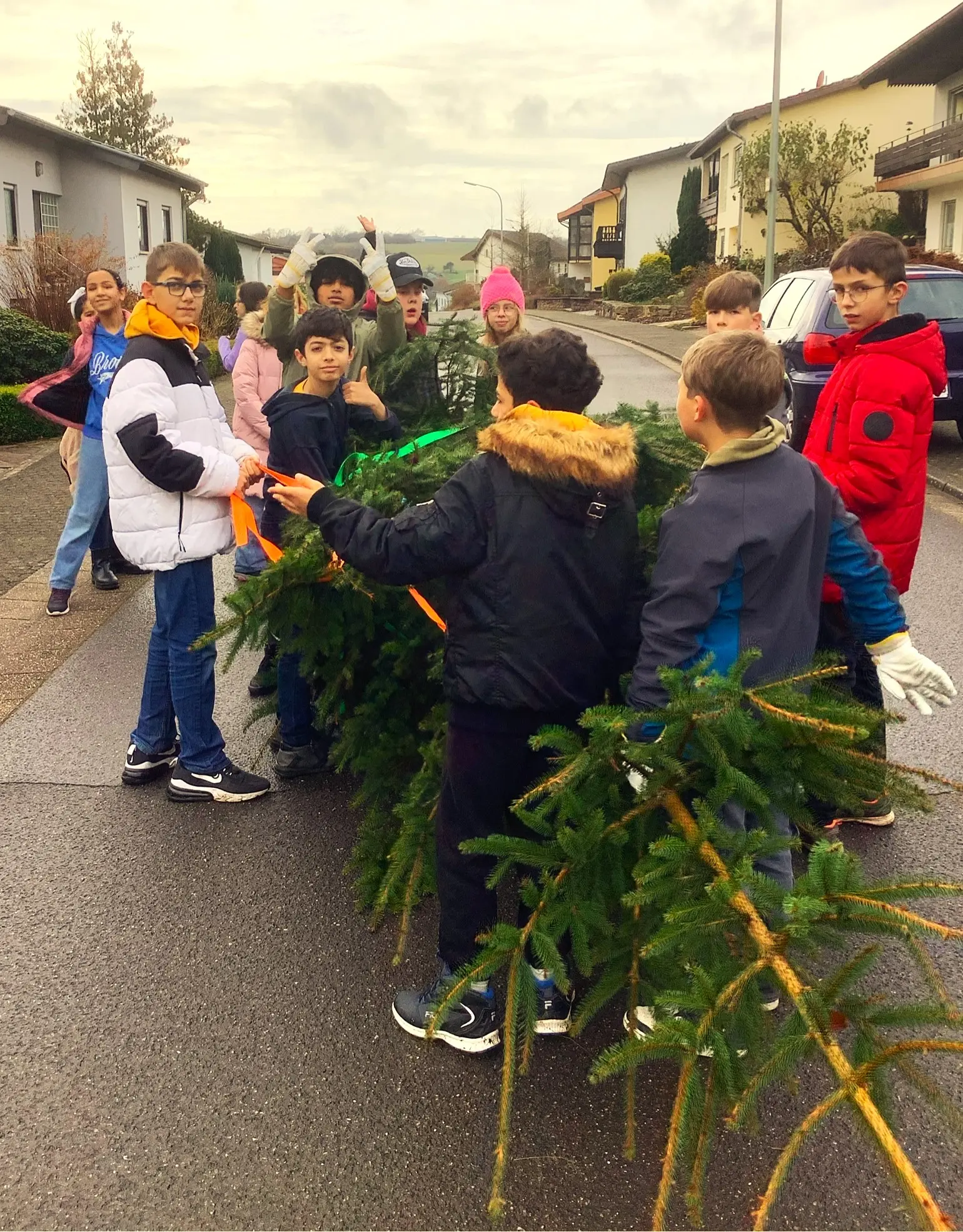 Schüler tragen gemeinsam einen gefällten Nadelbaum über eine Straße in einem Wohngebiet