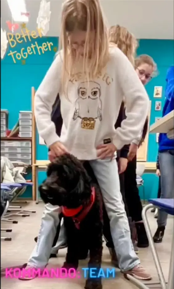Schülerin steht neben einem schwarzen Hund mit Halstuch in einem Raum