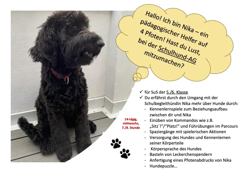 Flyer zur Schulhund-AG mit Foto des schwarzen Schulhunds Nika und Liste der Inhalte