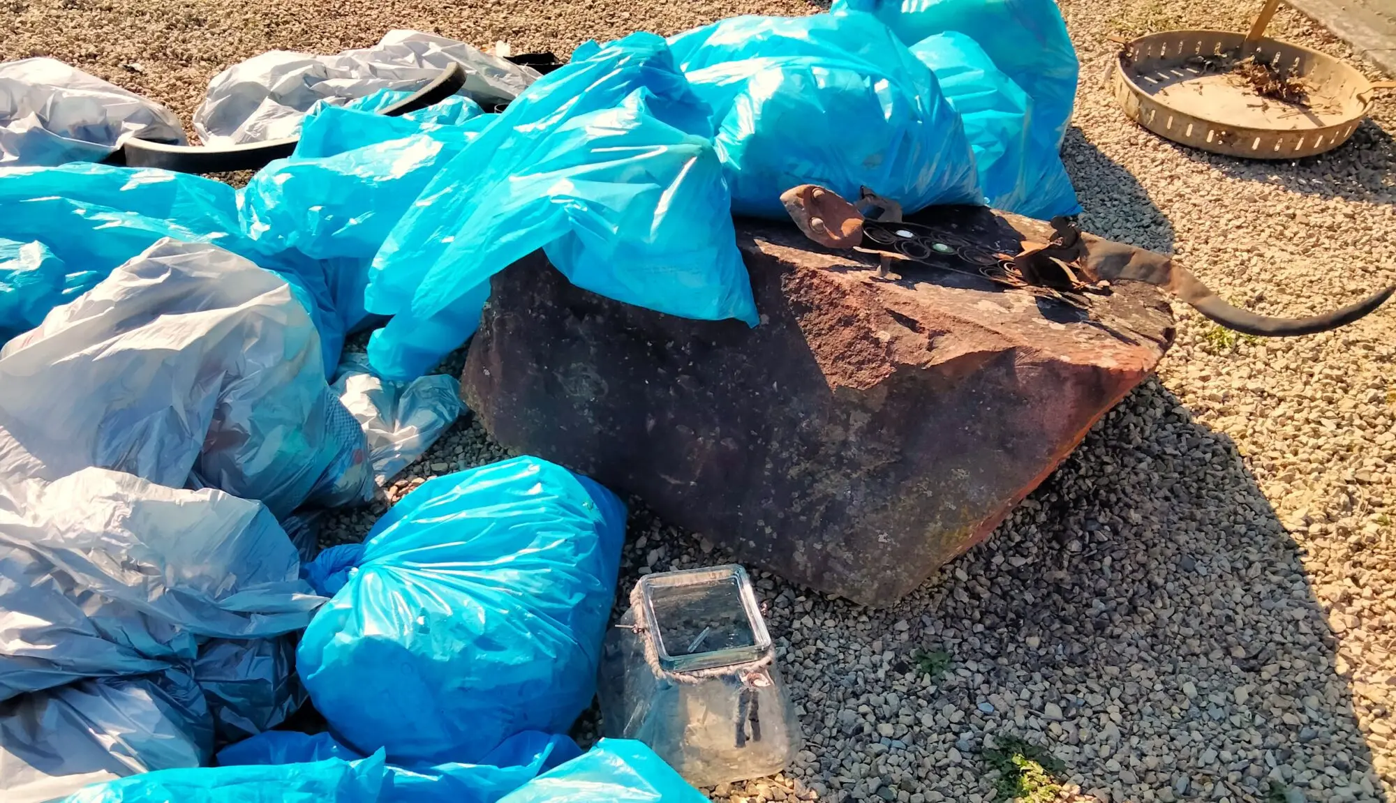 Blaue Müllsäcke mit gesammeltem Abfall liegen neben einem Baumstumpf auf dem Boden