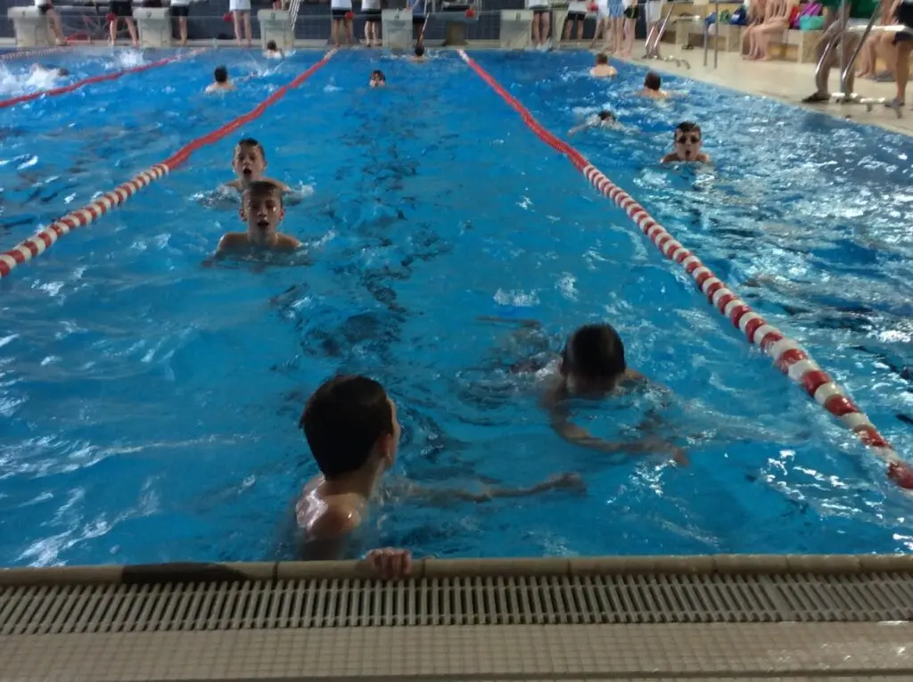 Schülerinnen und Schüler schwimmen in den Bahnen eines Hallenbads