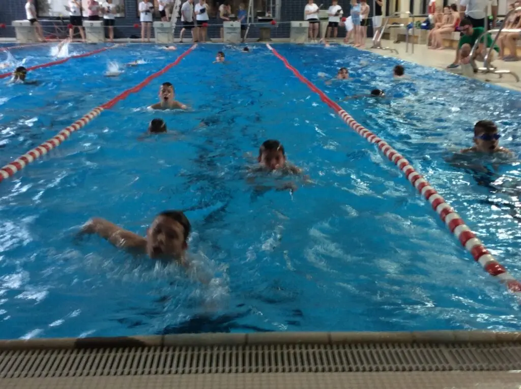 Schwimmer in den Bahnen eines Hallenbads bei einem Schulwettkampf