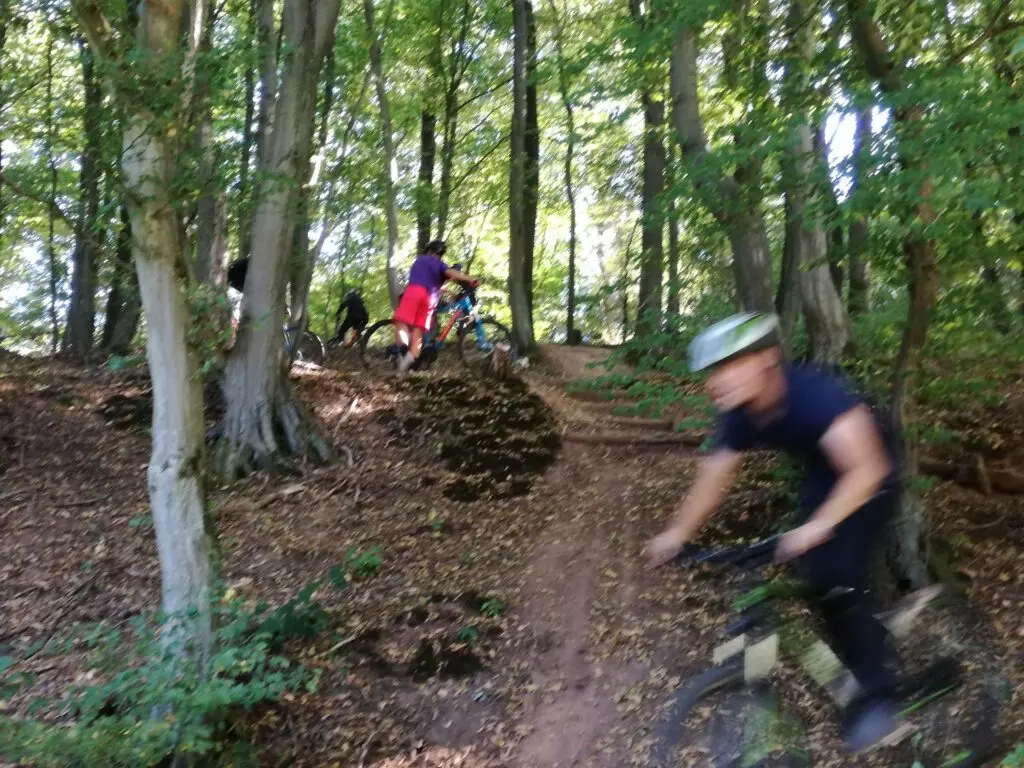 Mountainbiker fahren auf einem schmalen Waldpfad zwischen Bäumen bergab