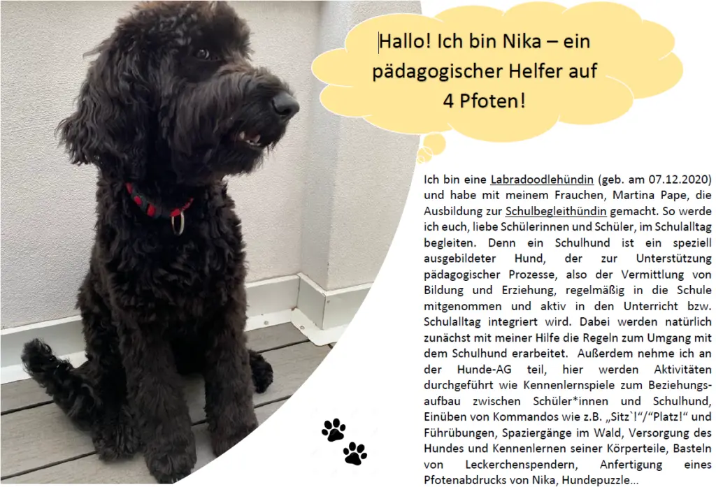 Infoblatt Schulhund: schwarzer lockiger Hund mit Sprechblase „Hallo! Ich bin Nika – ein pädagogischer Helfer auf 4 Pfoten!“ und Text